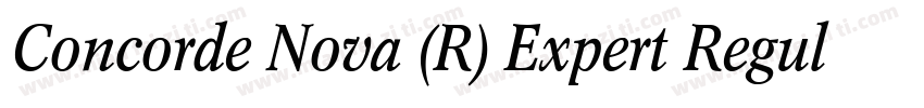 Concorde Nova (R) Expert Regular字体转换